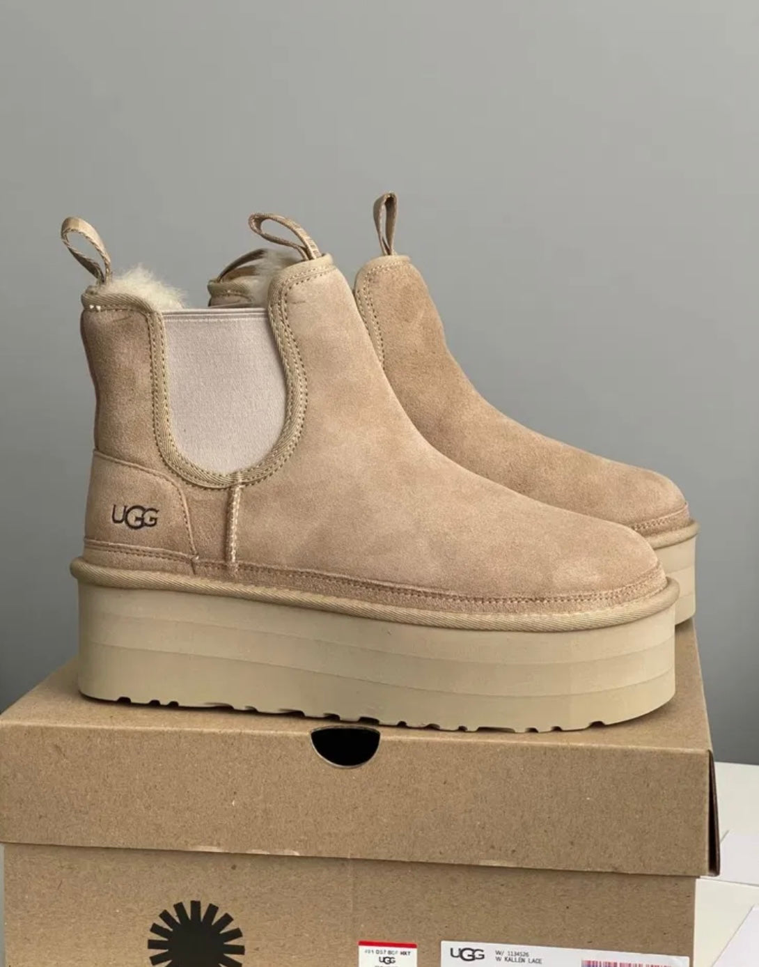 c.   Ugg